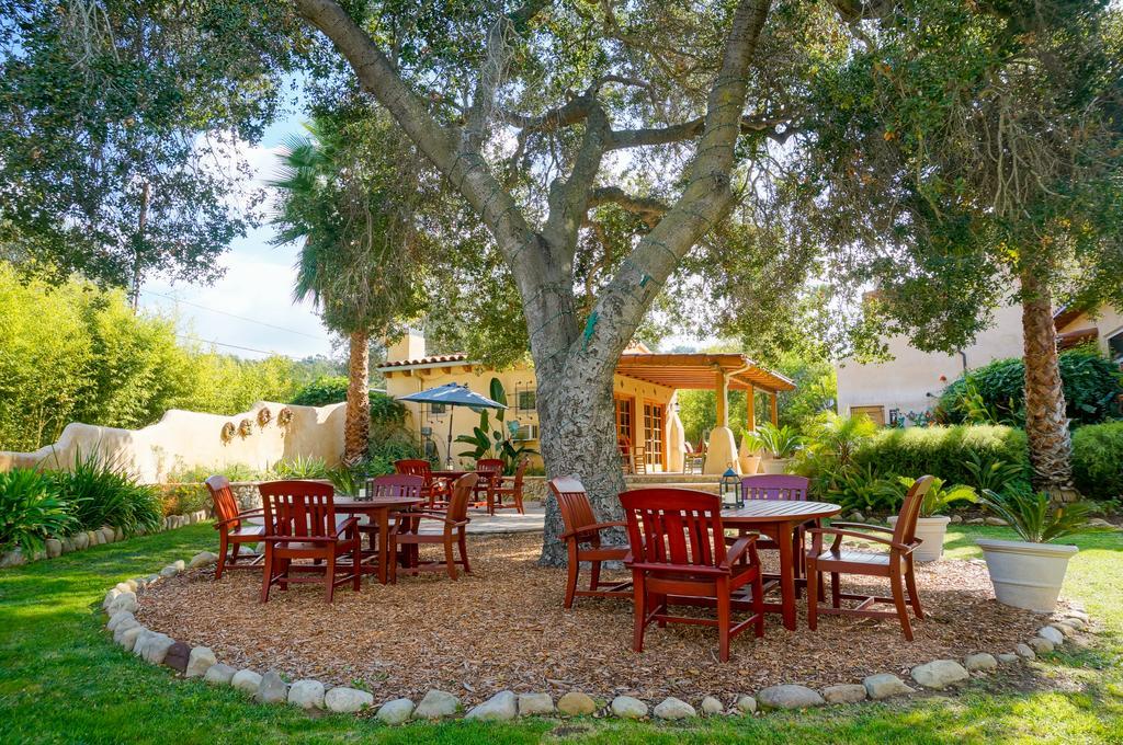 Blue Iguana Ojai