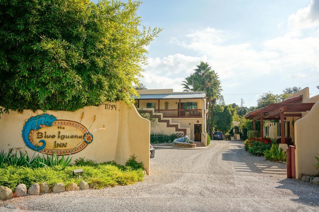 Blue Iguana Hotel 4*